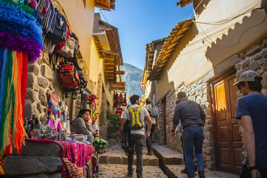 A traveler overlooking the Andes