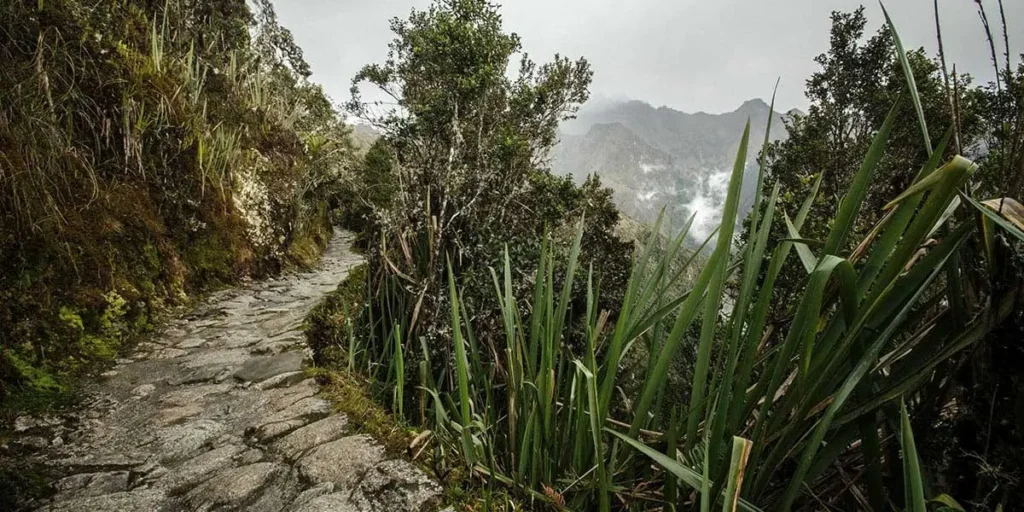 Inca Trail in January