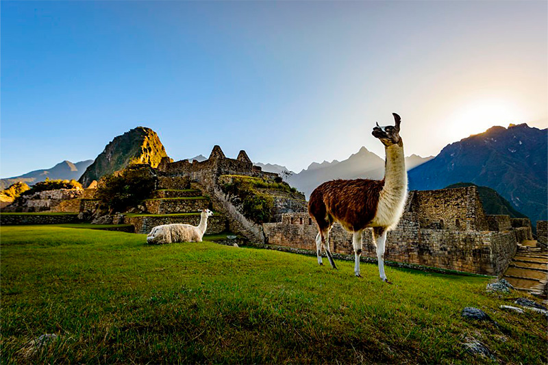 How much does it cost to go to Machu Picchu