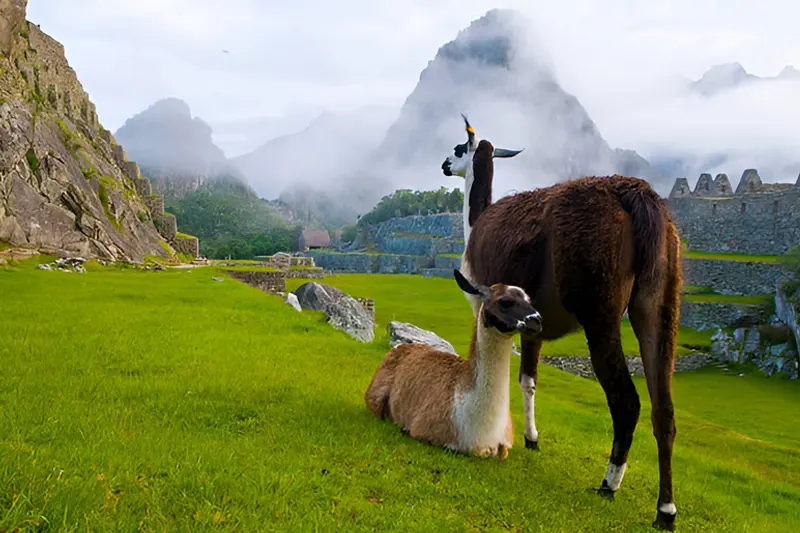 machu picchu in february