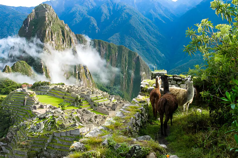 machu picchu in january