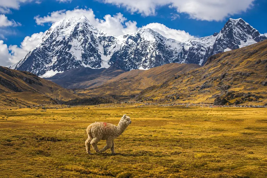 best time to hike the ausangate trek
